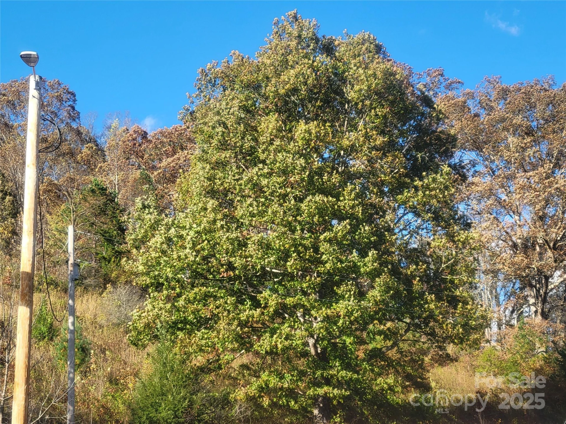 00 Kirkpatrick Cove - Photo 12