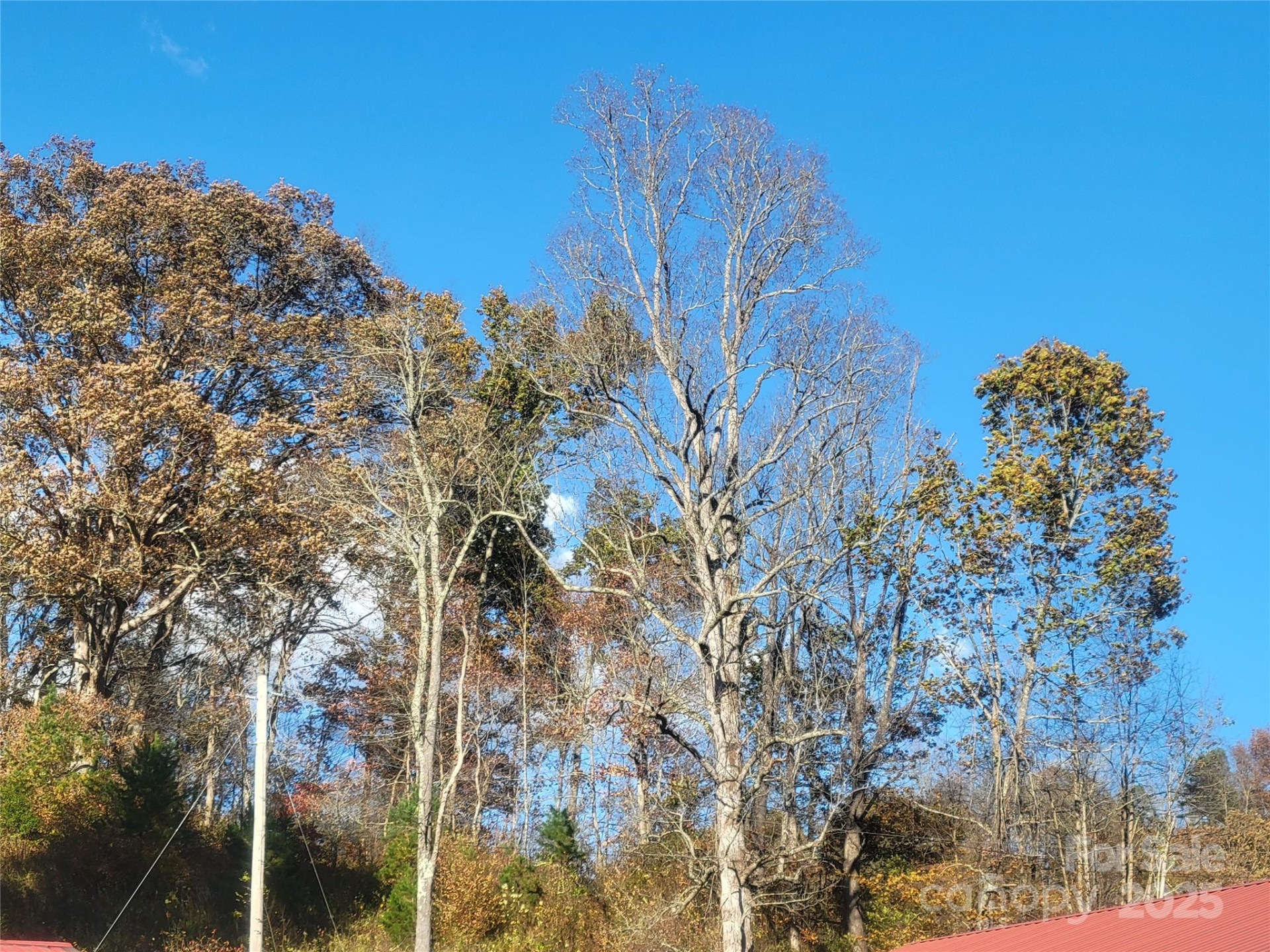 00 Kirkpatrick Cove - Photo 13