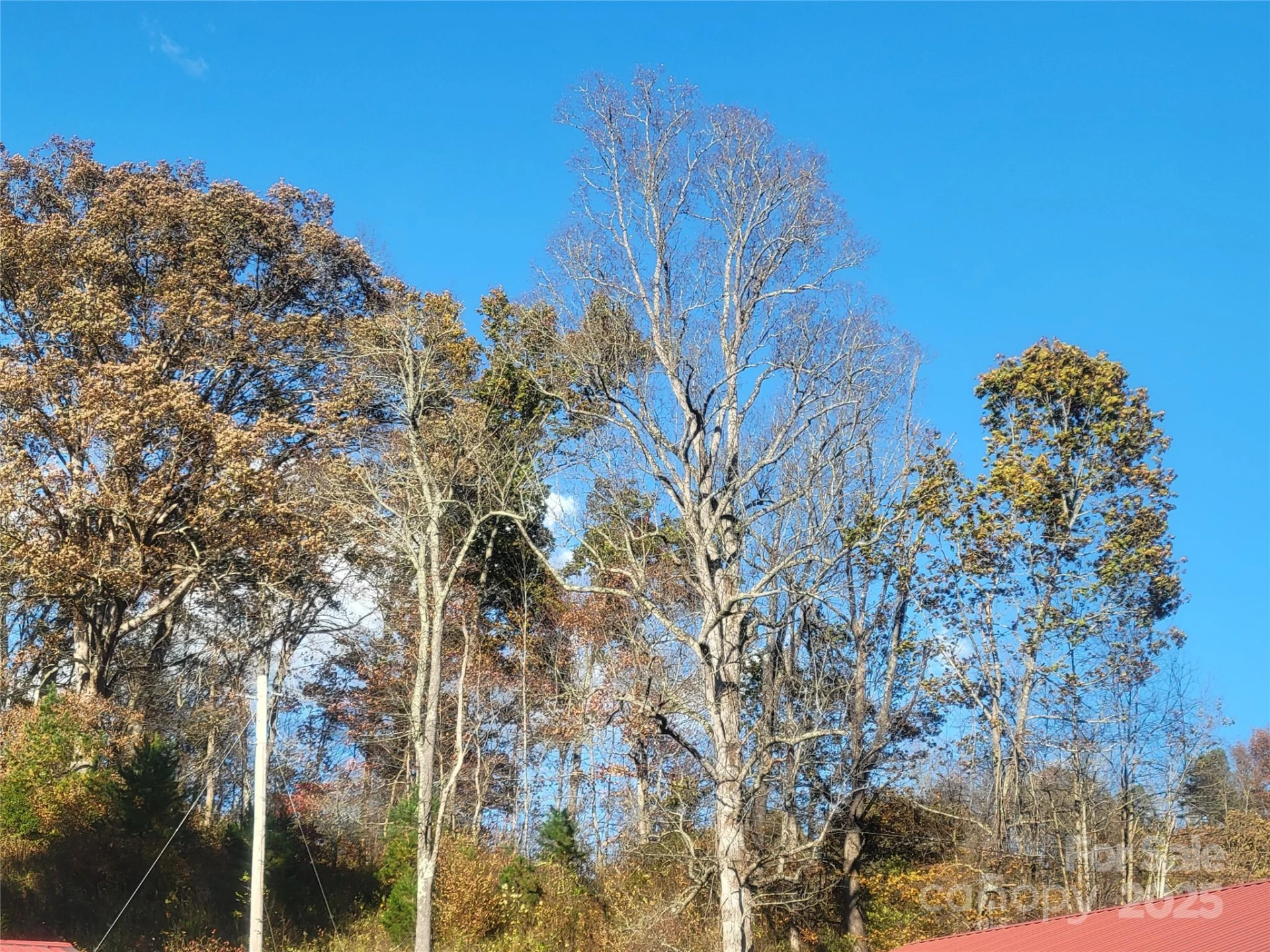 00 Kirkpatrick Cove - Photo 13