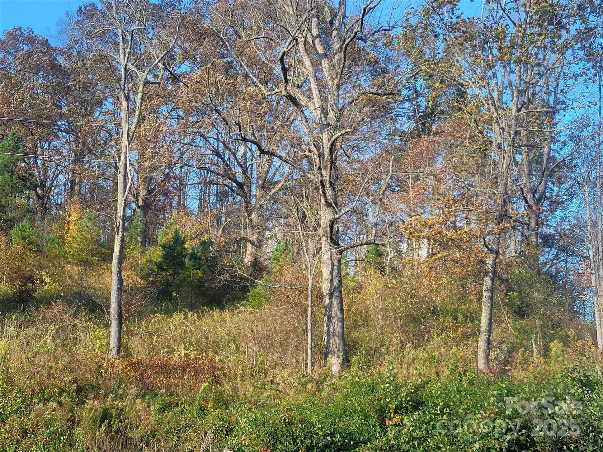 00 Kirkpatrick Cove - Photo 14