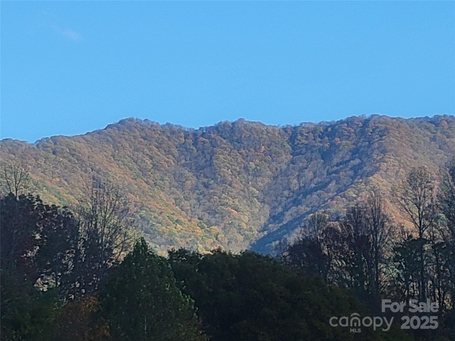 00 Kirkpatrick Cove - Photo 3