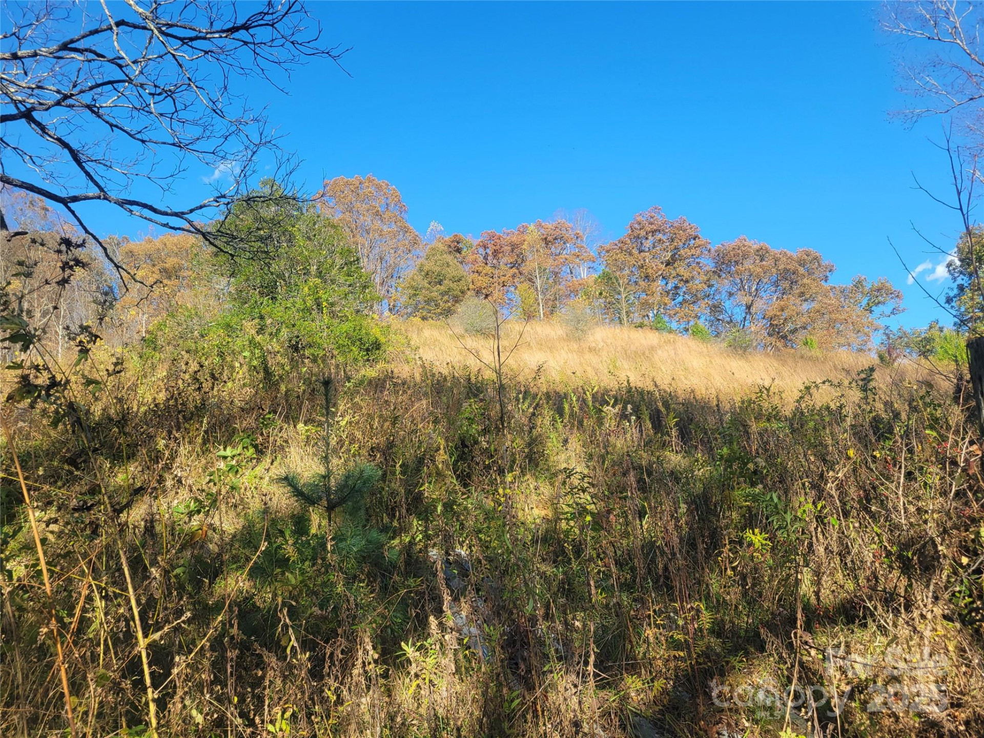00 Kirkpatrick Cove - Photo 4