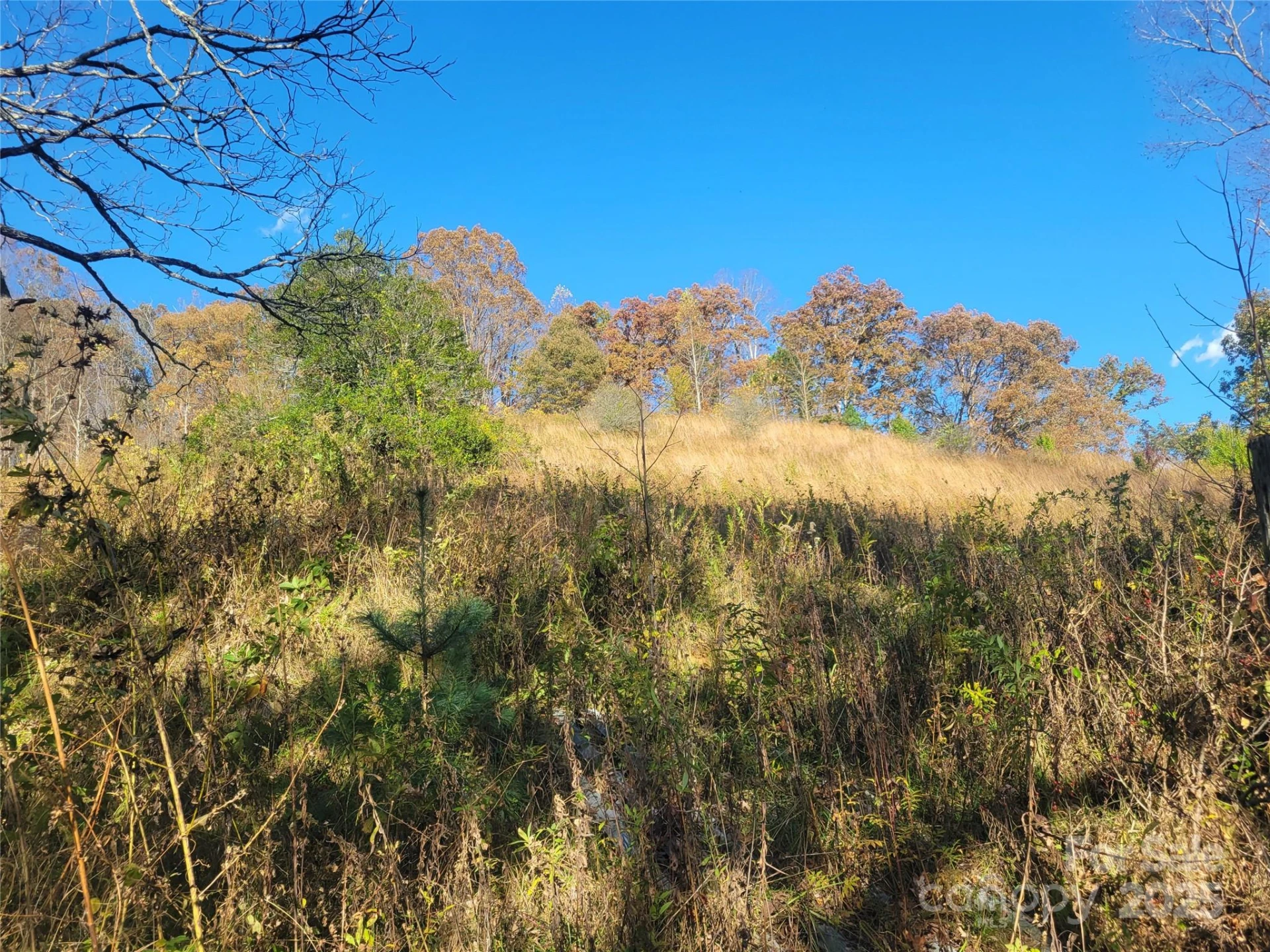 00 Kirkpatrick Cove - Photo 4