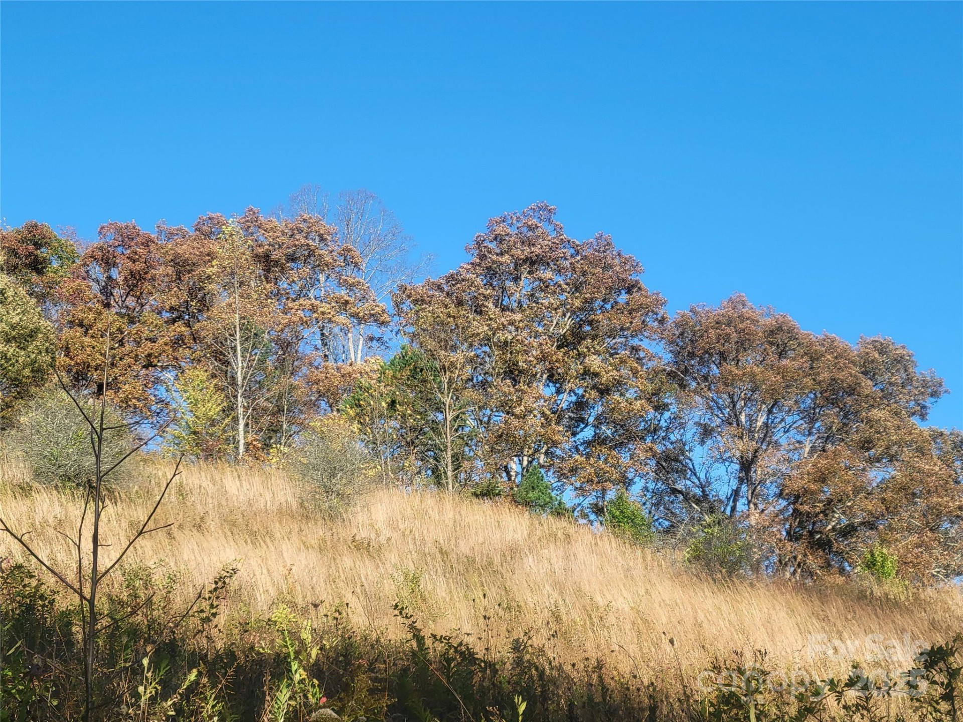 00 Kirkpatrick Cove - Photo 5