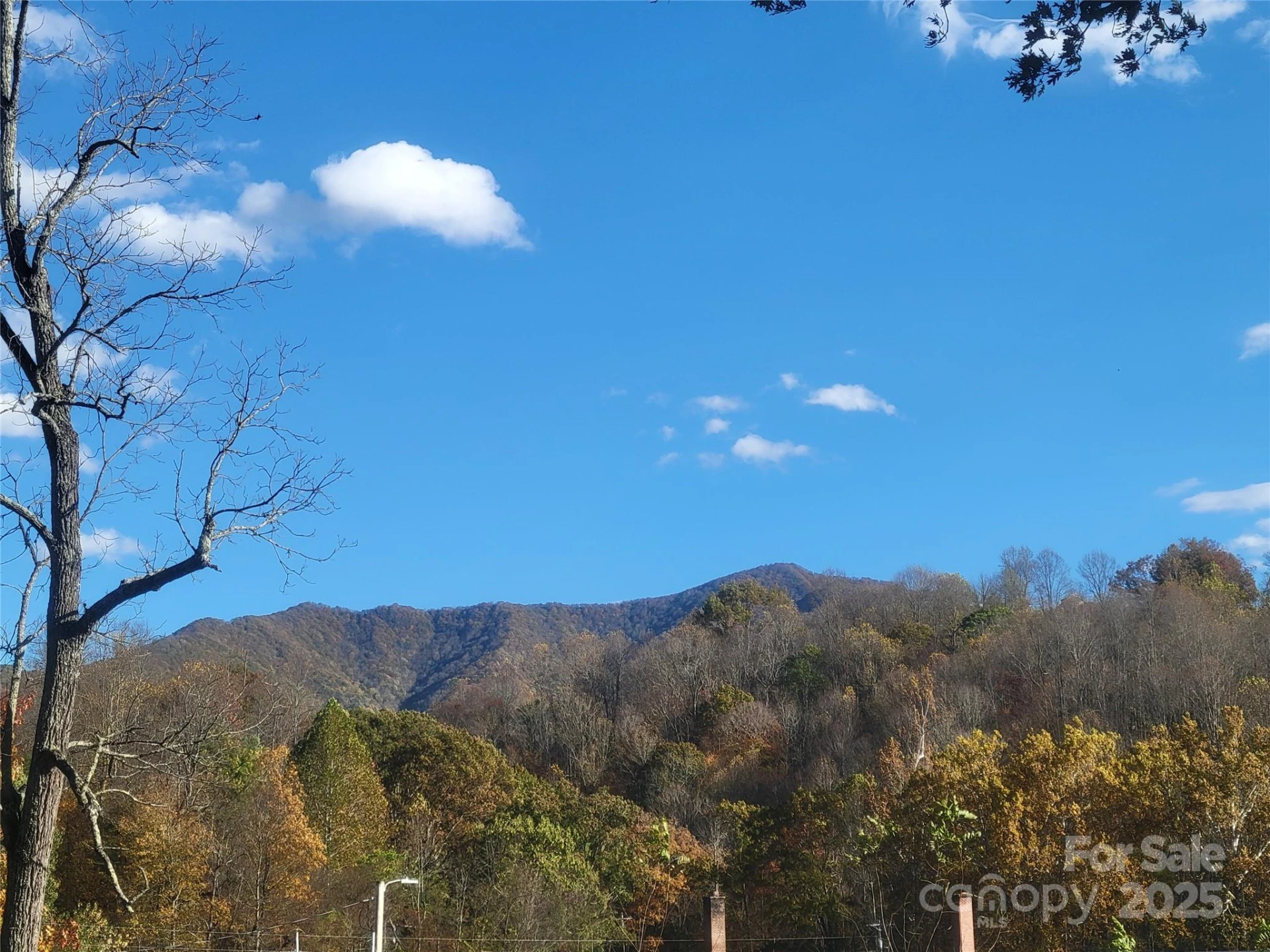 00 Kirkpatrick Cove - Photo 6