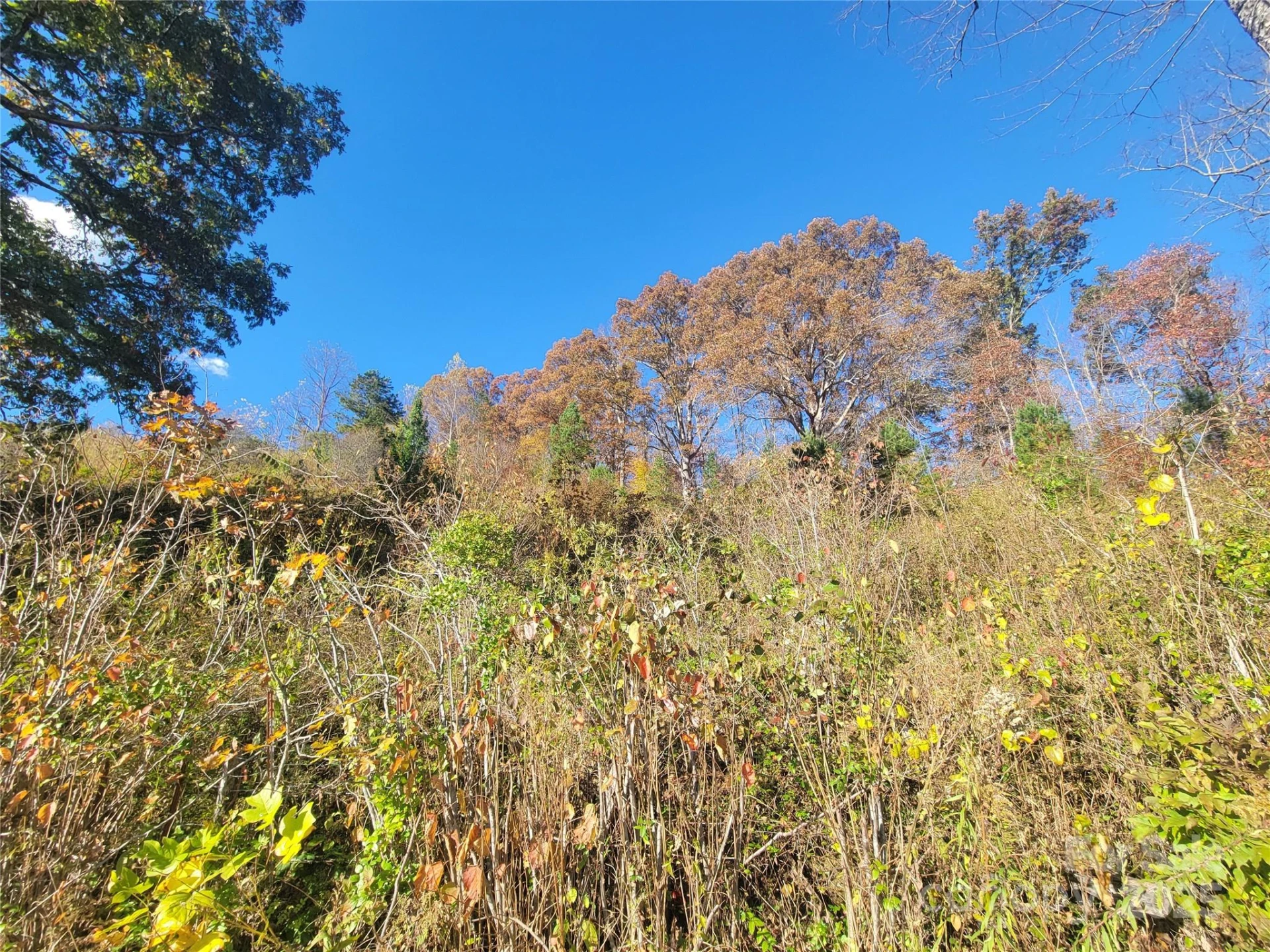 00 Kirkpatrick Cove - Photo 7