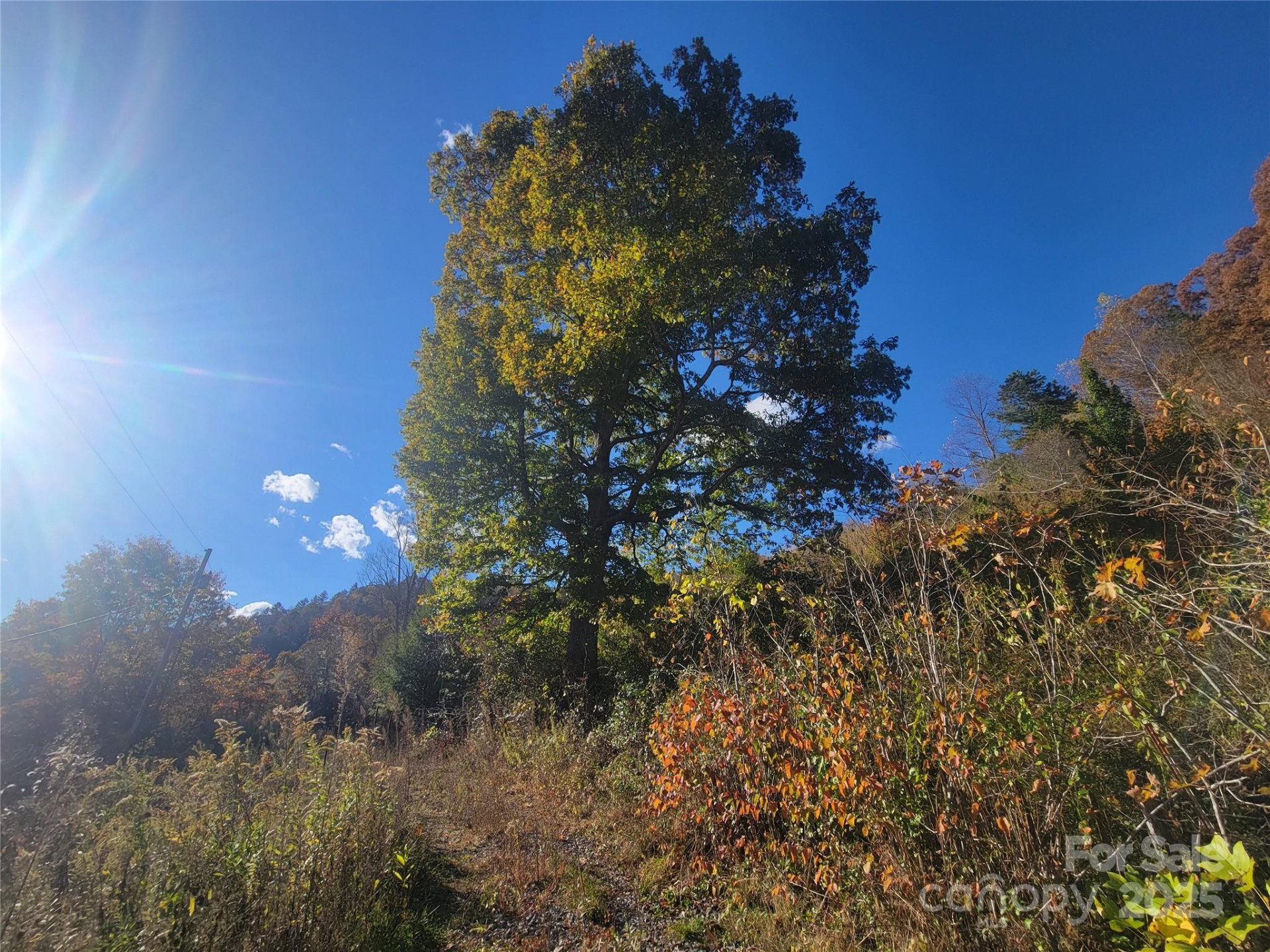 00 Kirkpatrick Cove - Photo 8