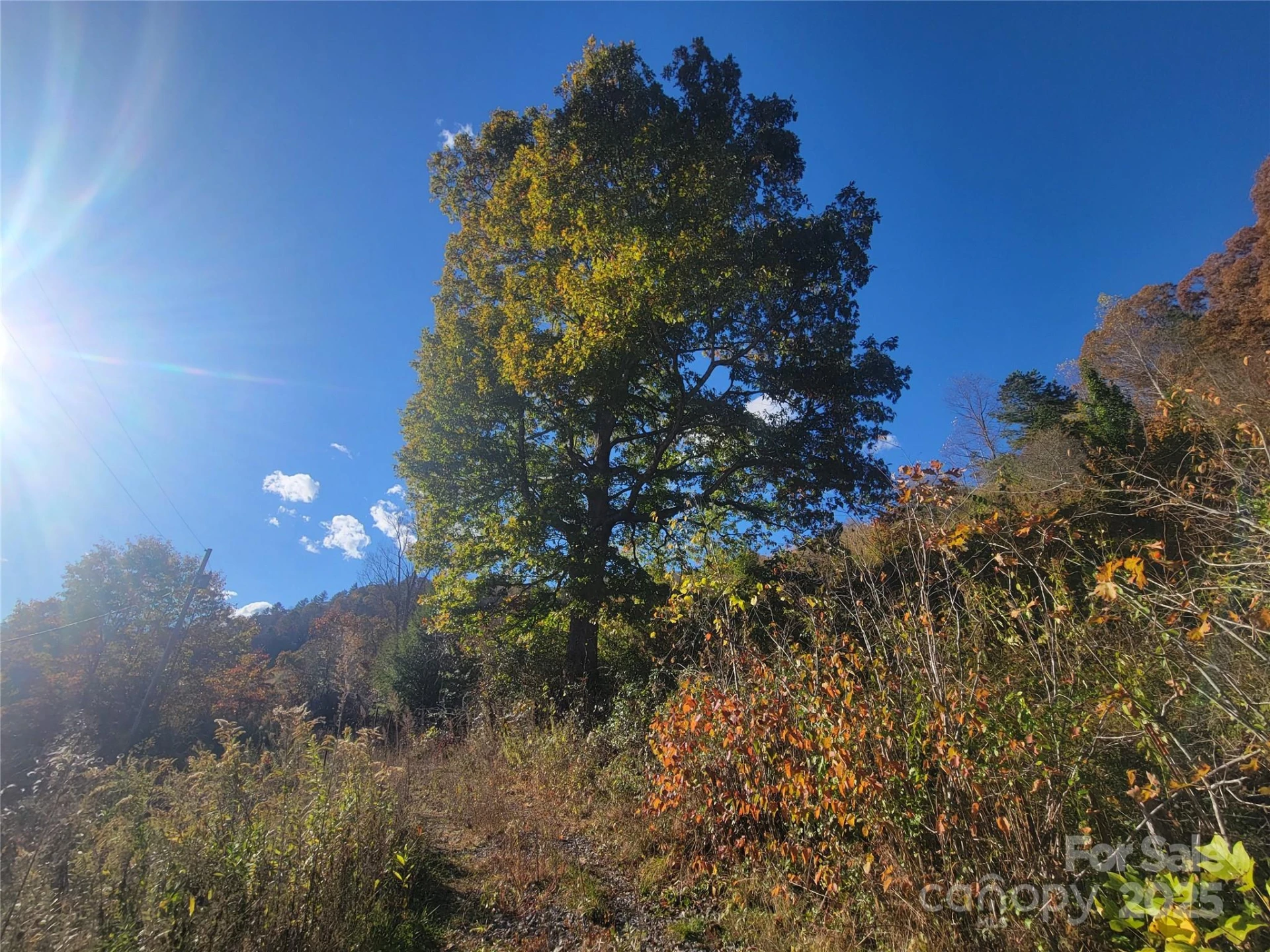 00 Kirkpatrick Cove - Photo 8