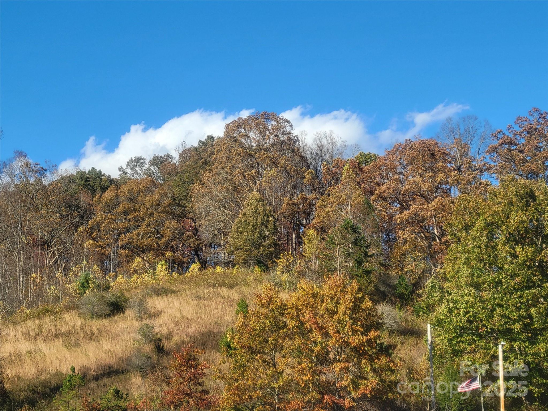 00 Kirkpatrick Cove - Photo 10