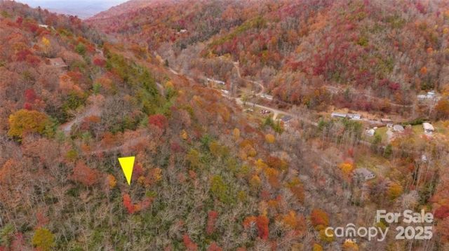 82 Davey Crockett Road, Fairview, NC, 28730