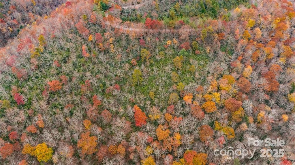 82 Davey Crockett Road - Photo 2