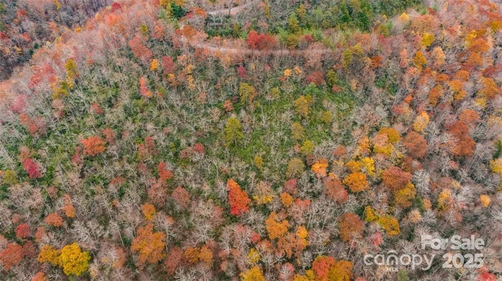 82 Davey Crockett Road - Photo 2