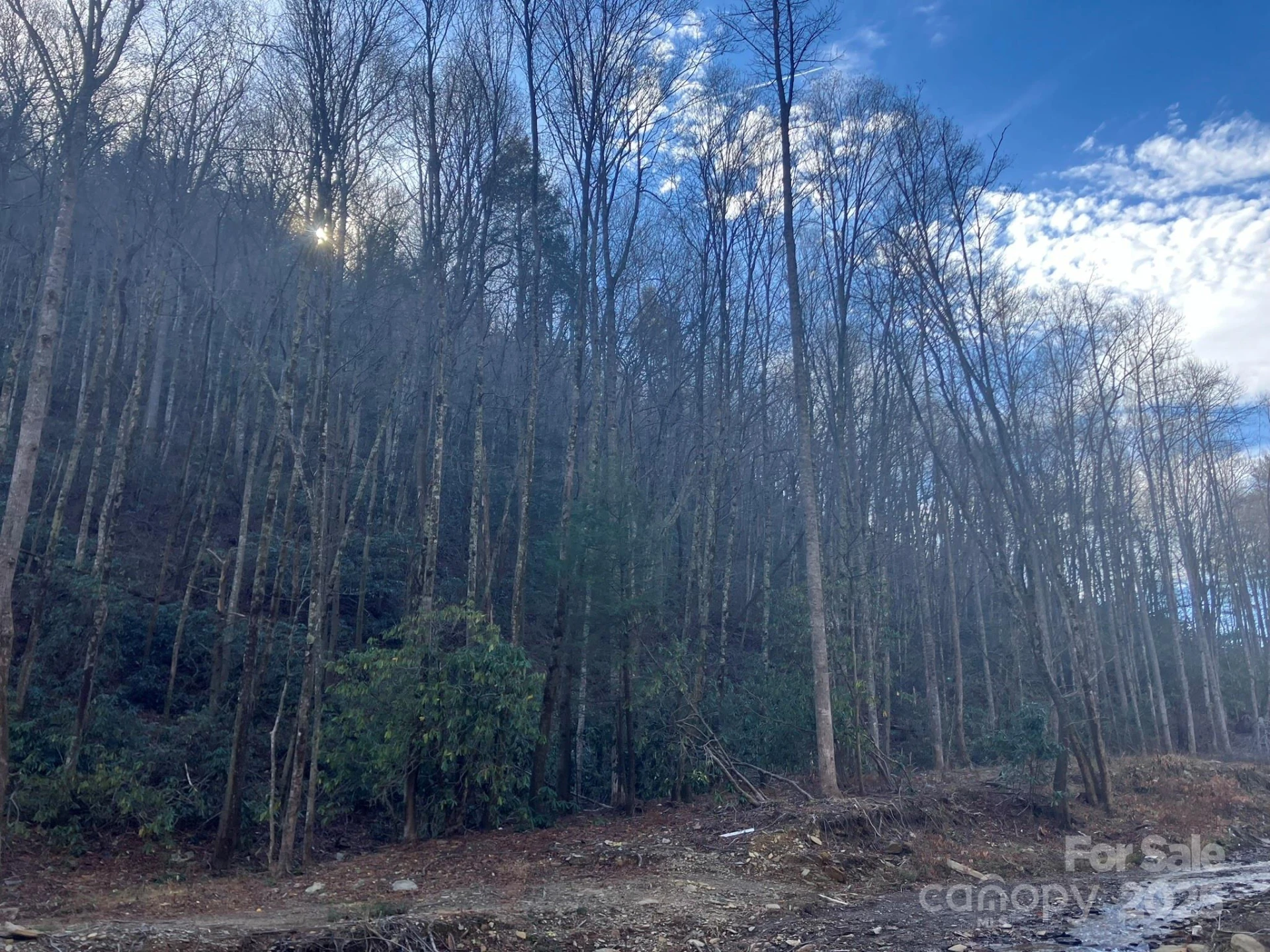 82 Davey Crockett Road - Photo 11