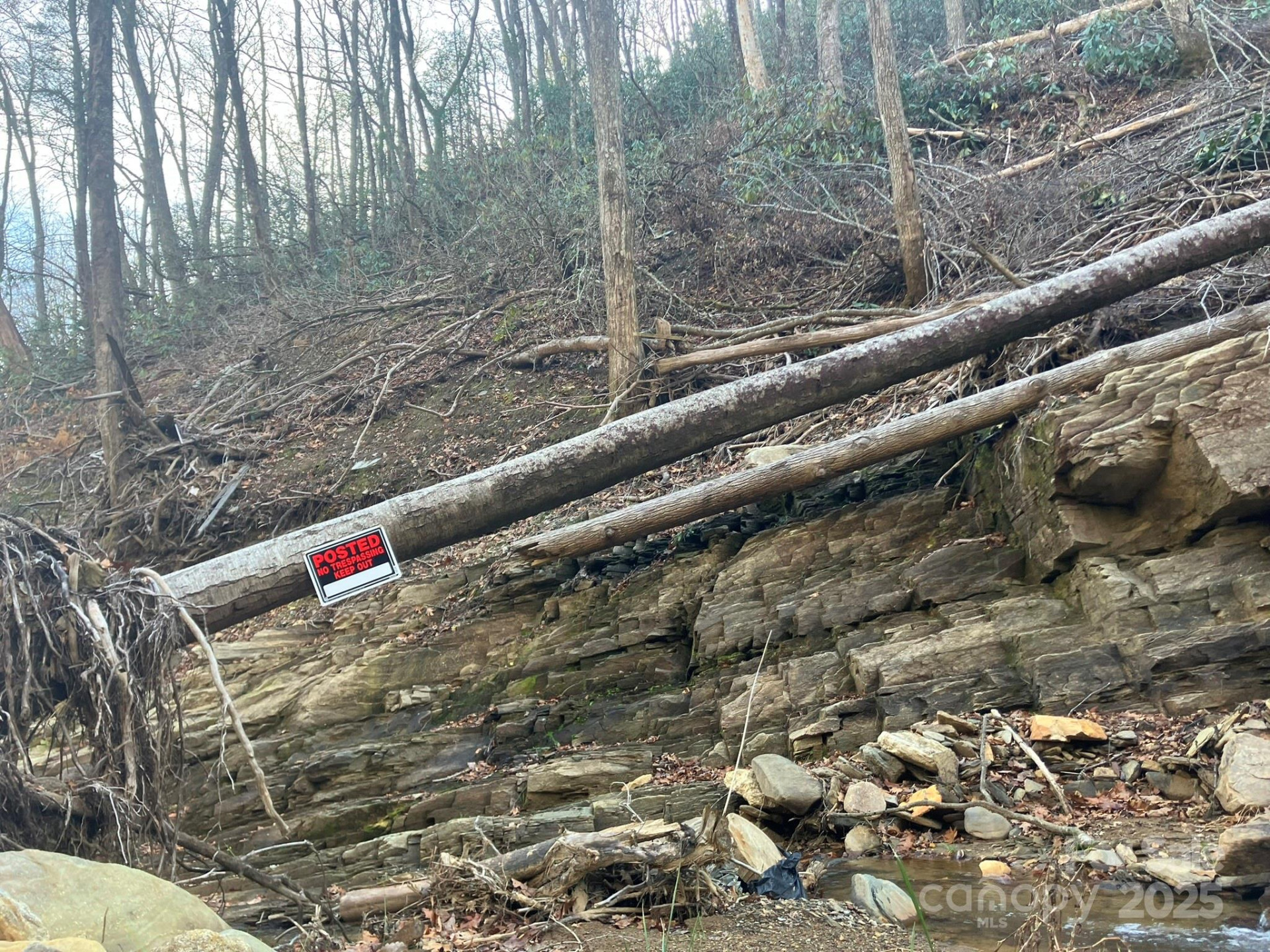 82 Davey Crockett Road - Photo 12