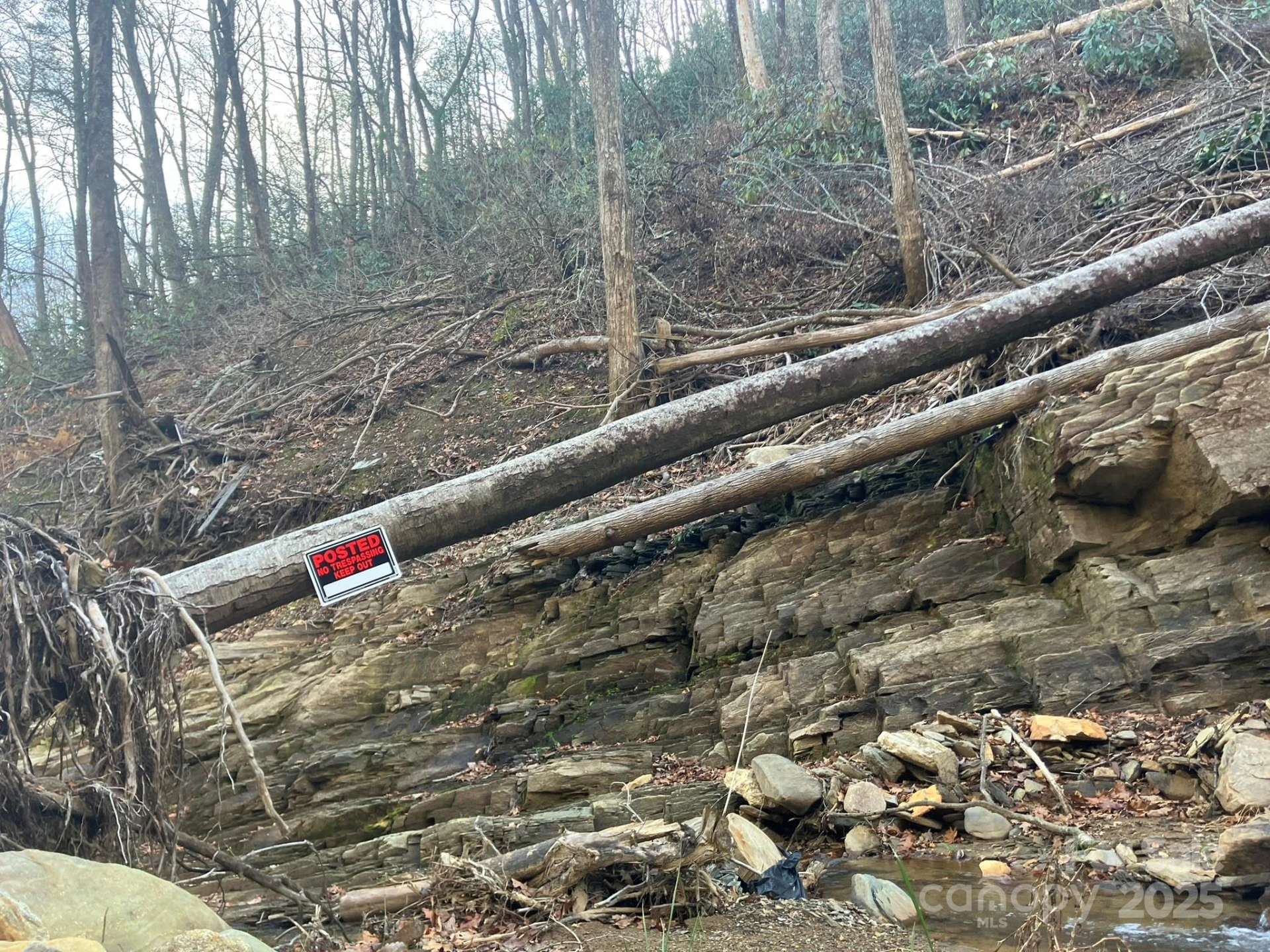 82 Davey Crockett Road - Photo 12