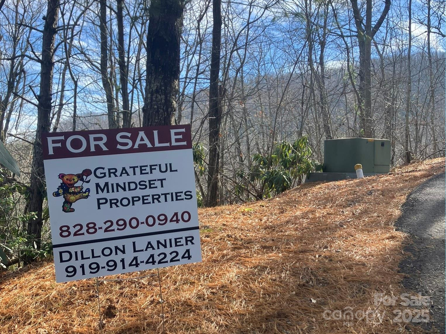 82 Davey Crockett Road - Photo 14