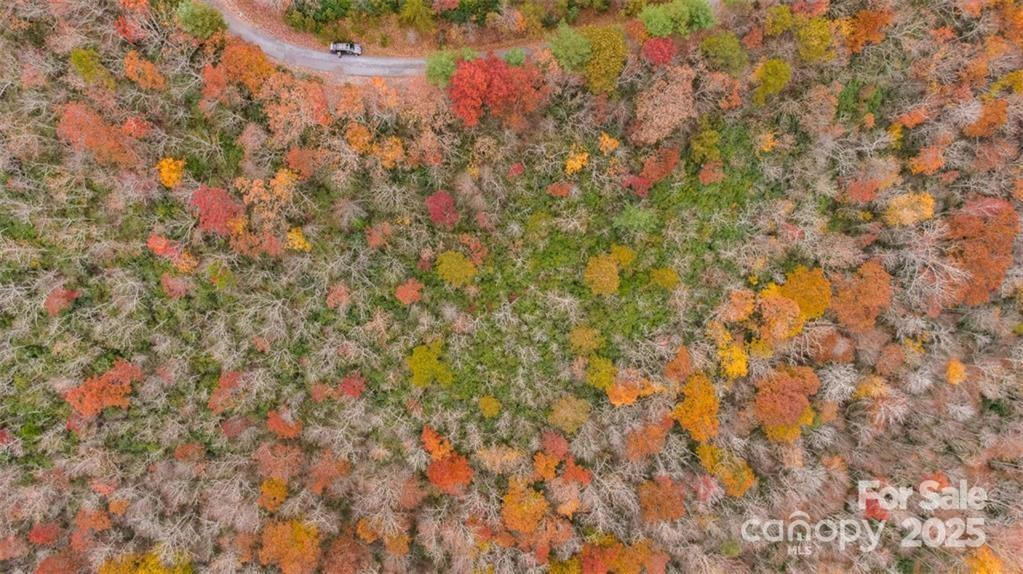 82 Davey Crockett Road - Photo 3