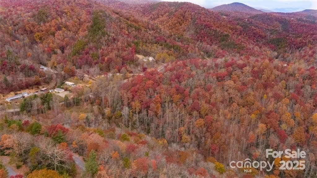 82 Davey Crockett Road - Photo 4