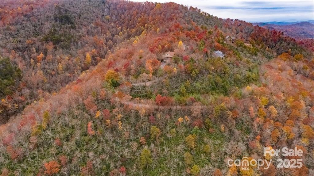 82 Davey Crockett Road - Photo 5