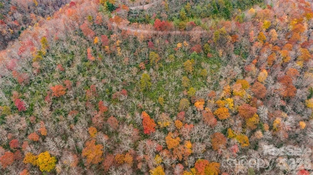 82 Davey Crockett Road - Photo 2