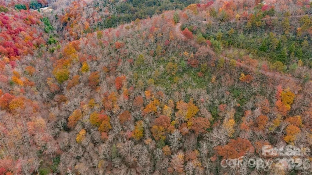 82 Davey Crockett Road - Photo 6