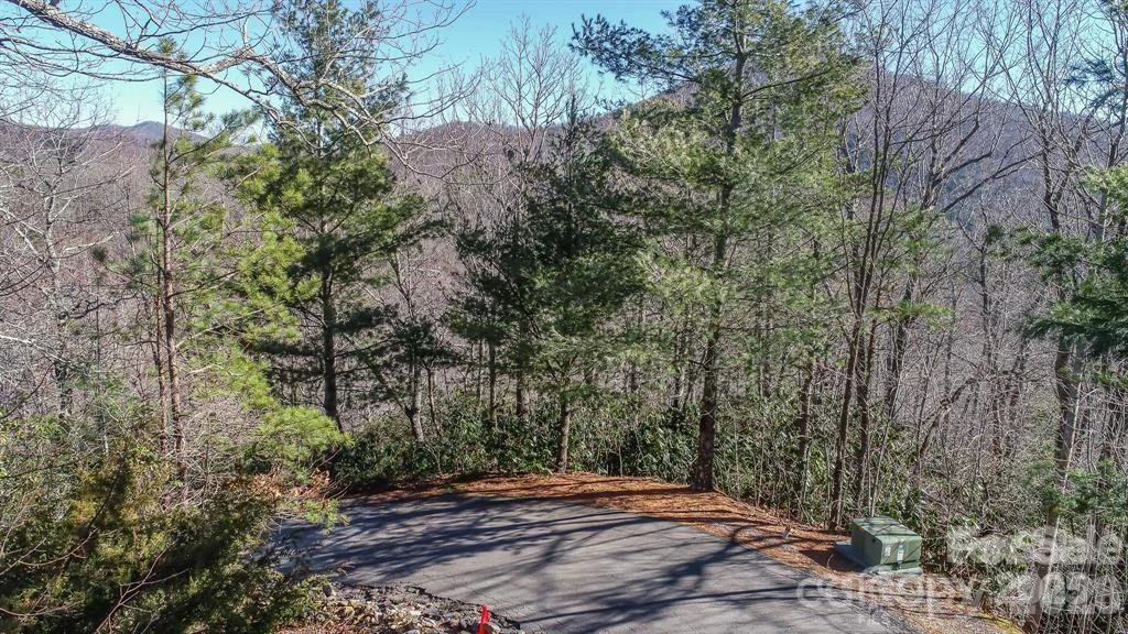 82 Davey Crockett Road - Photo 7