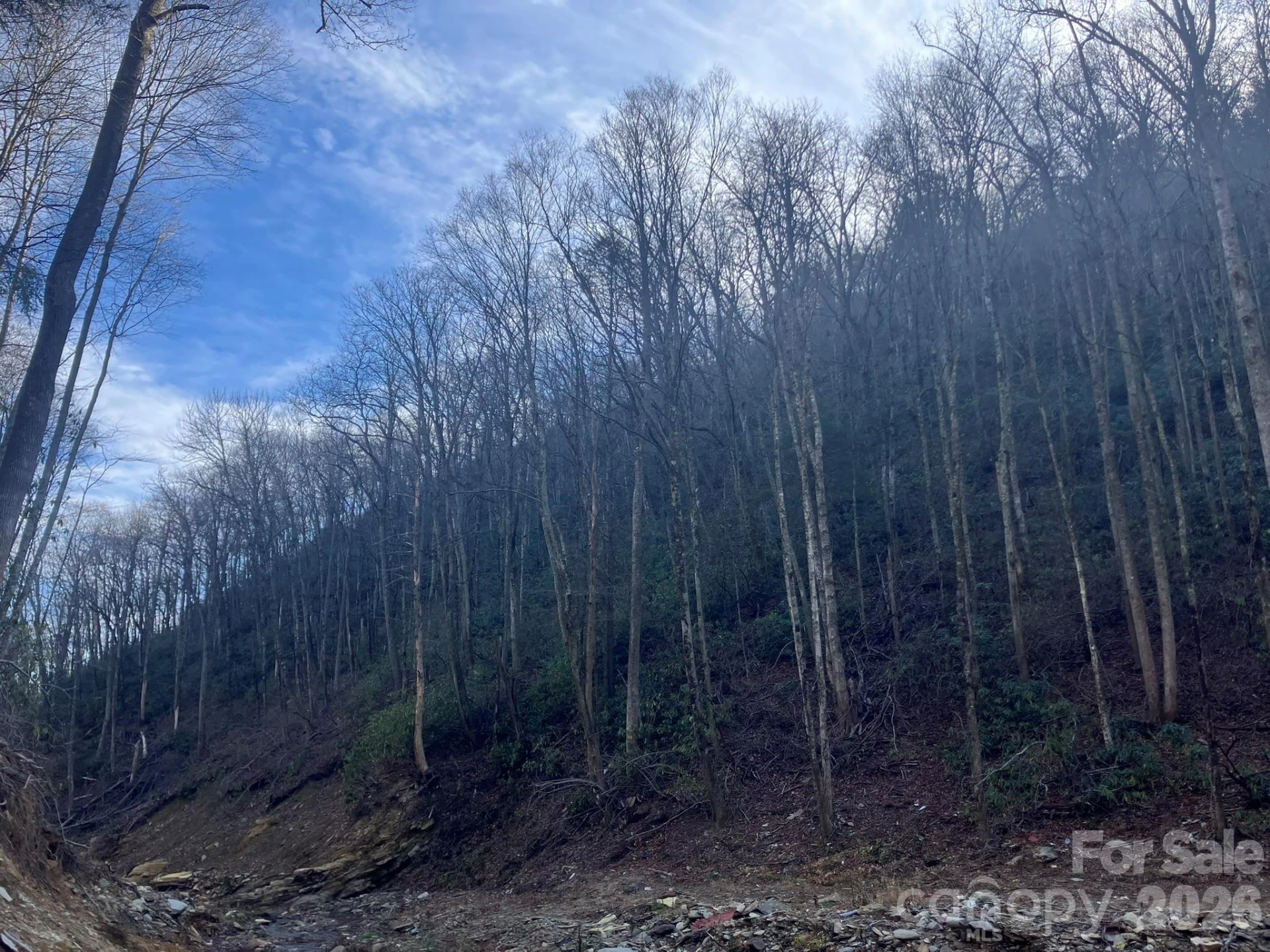 82 Davey Crockett Road - Photo 10