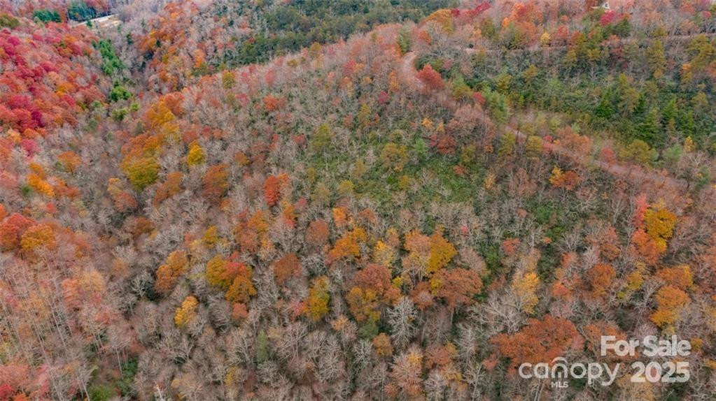 82 Davey Crockett Road - Photo 6