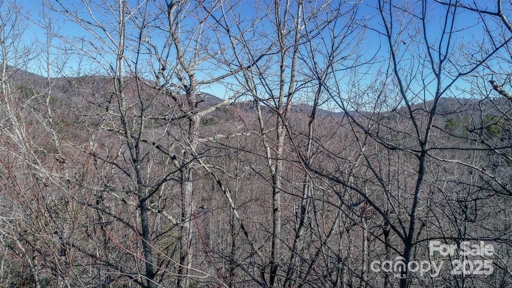 82 Davey Crockett Road - Photo 8