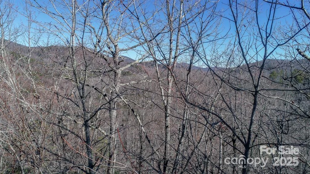 82 Davey Crockett Road - Photo 8