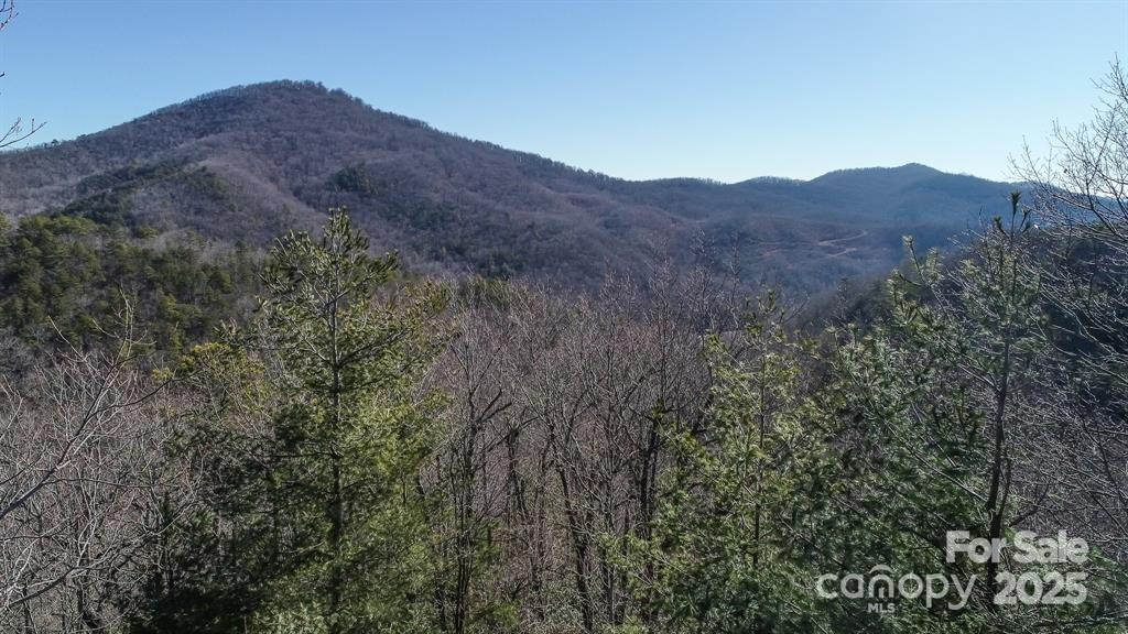 82 Davey Crockett Road - Photo 9