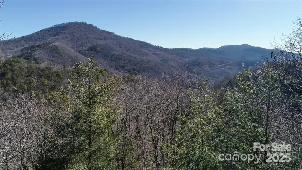 82 Davey Crockett Road - Photo 9