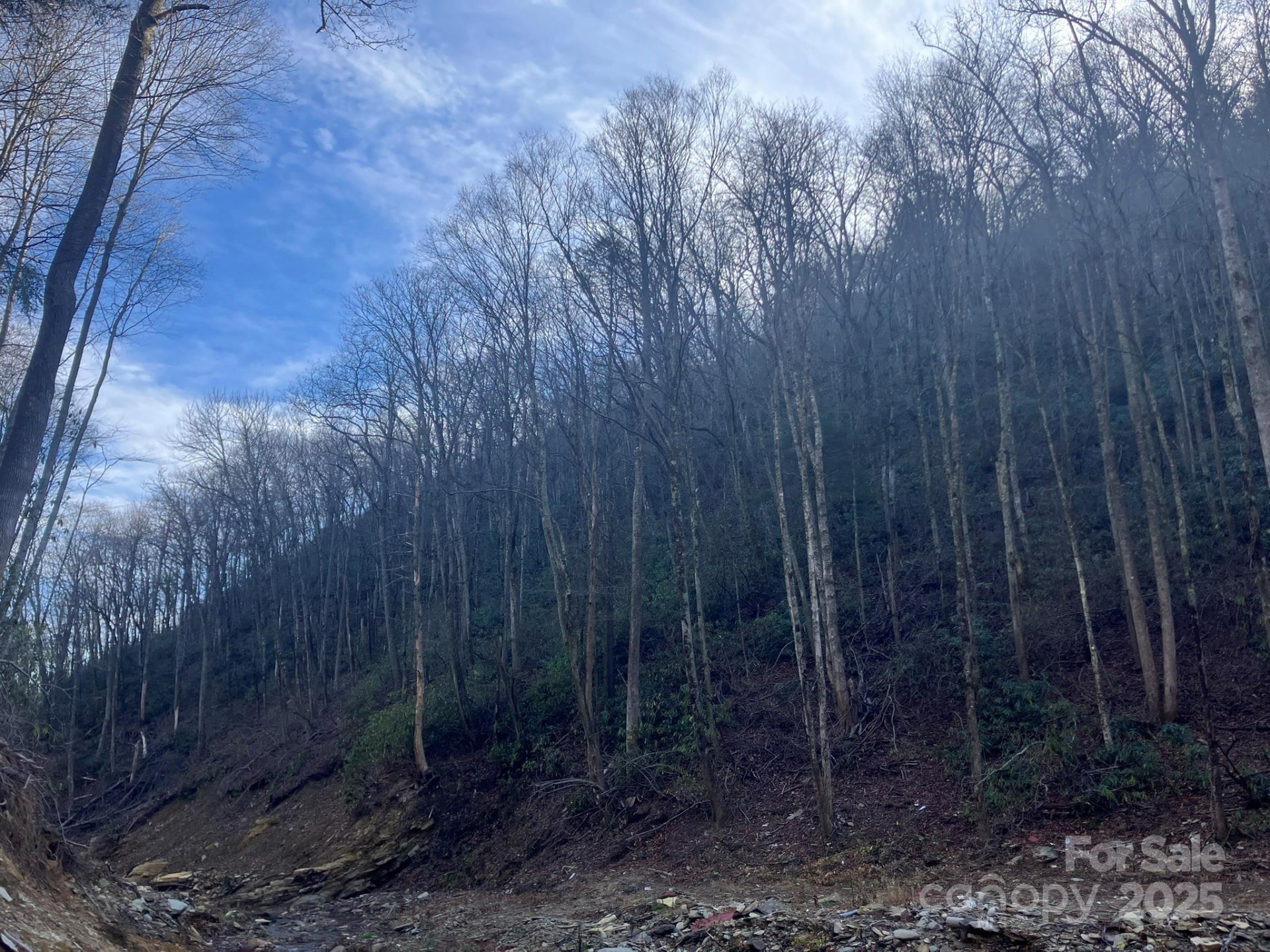 82 Davey Crockett Road - Photo 10