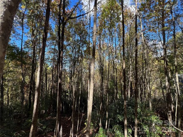 0 Wild Magnolia Way, Zirconia, NC, 28790