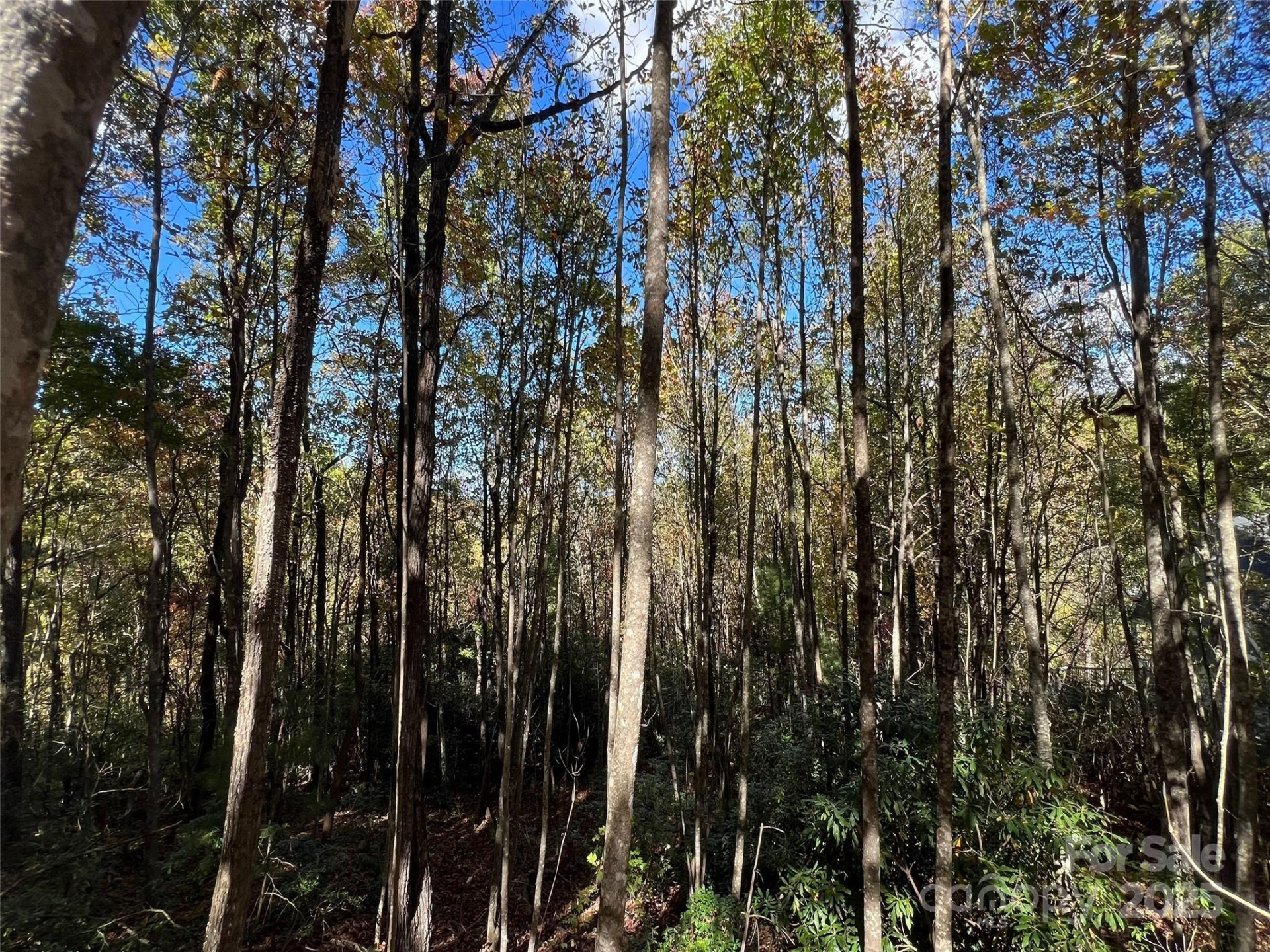 0 Wild Magnolia Way #46