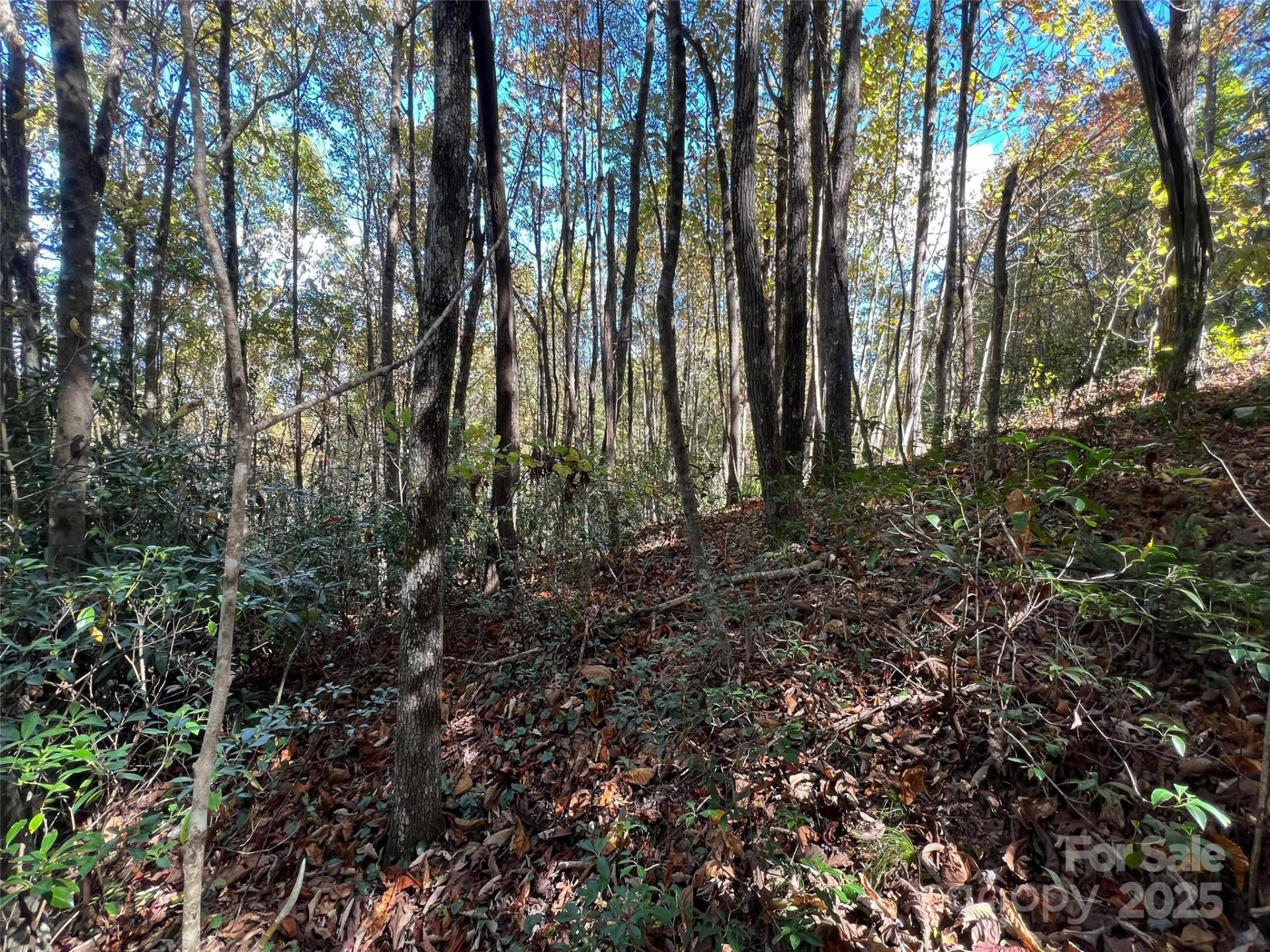 0 Wild Magnolia Way #46 - Photo 2