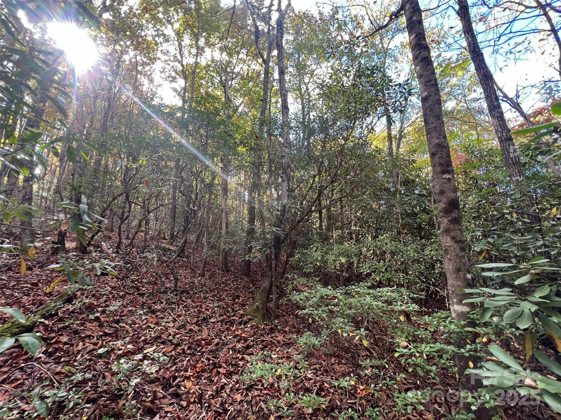 0 Wild Magnolia Way #46 - Photo 6