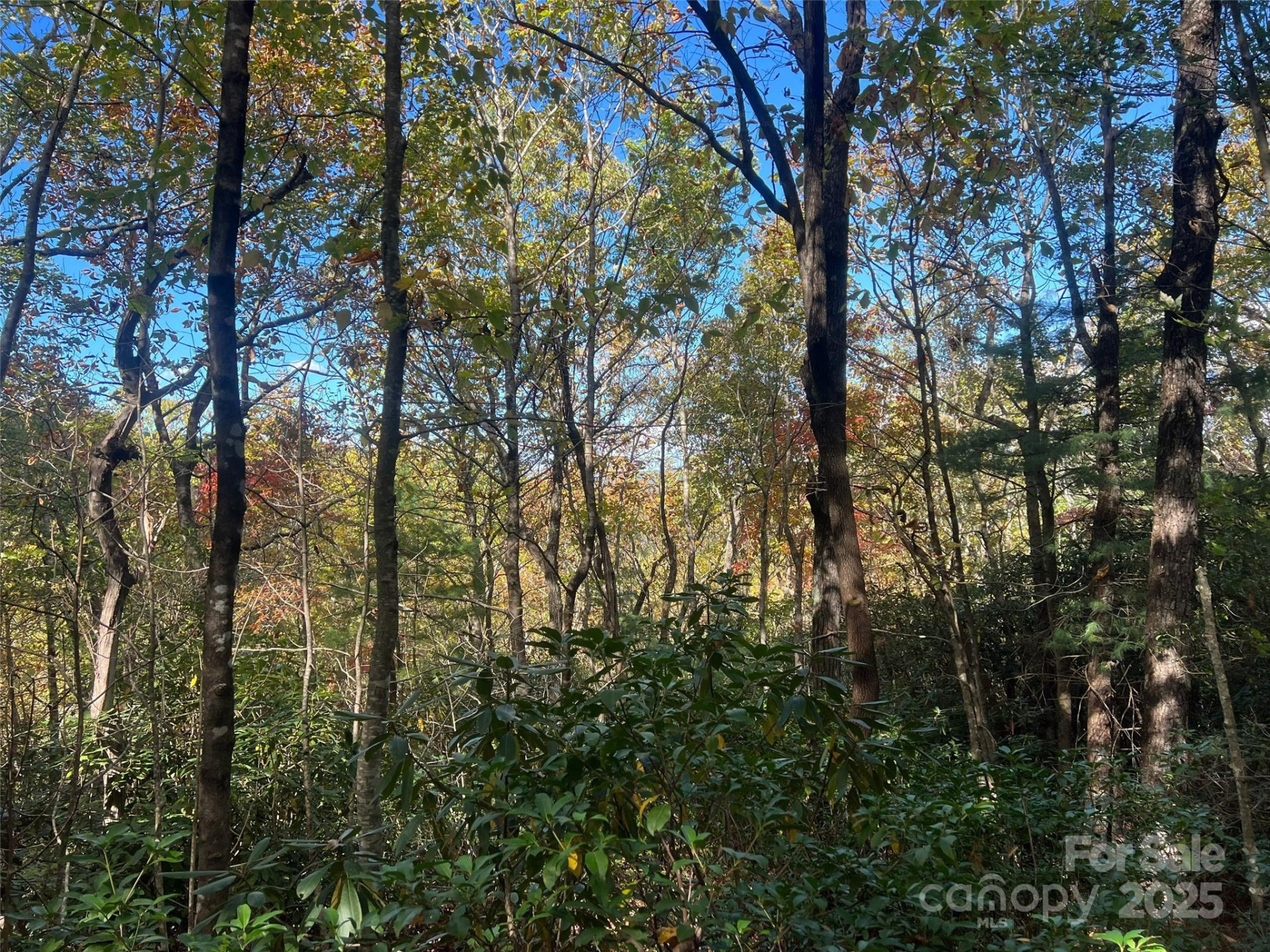 0 Wild Magnolia Way #46 - Photo 9