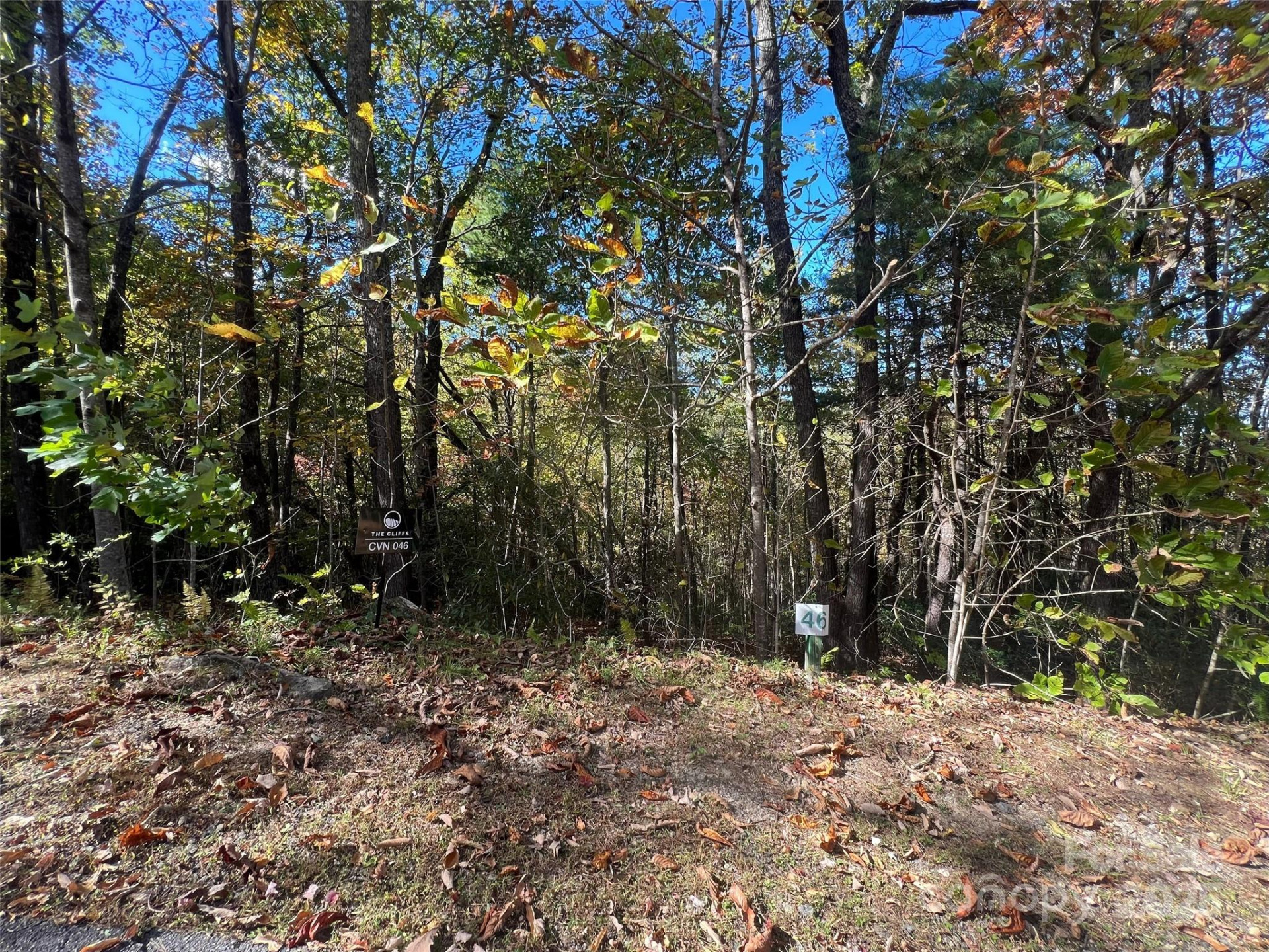 0 Wild Magnolia Way #46 - Photo 10