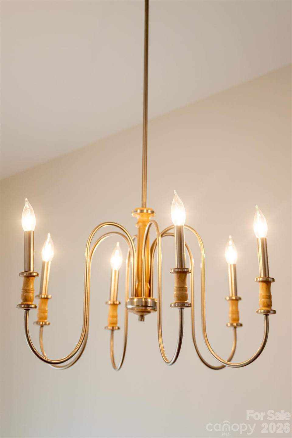 224 Country Drive - Photo 21