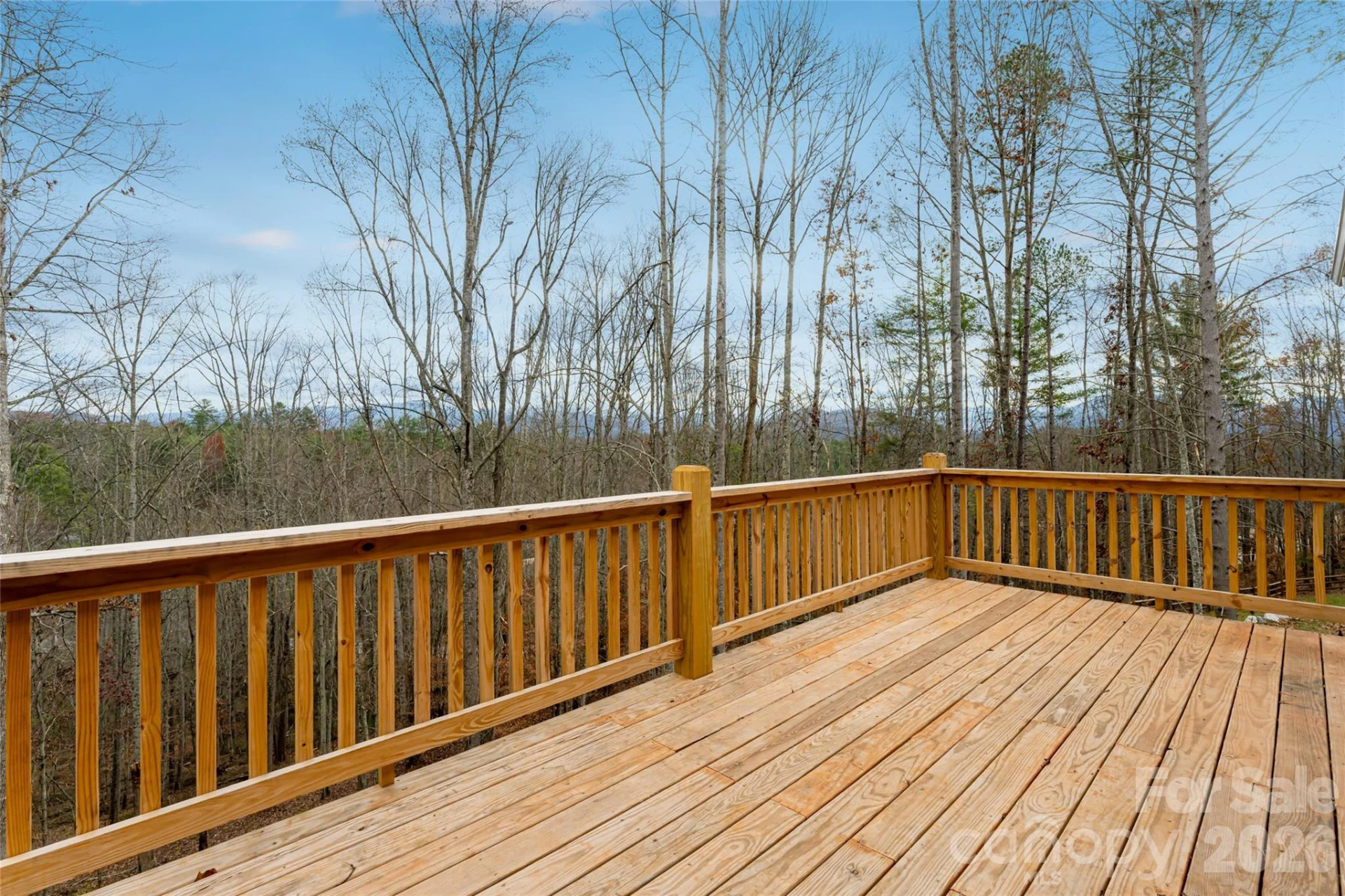 224 Country Drive - Photo 34