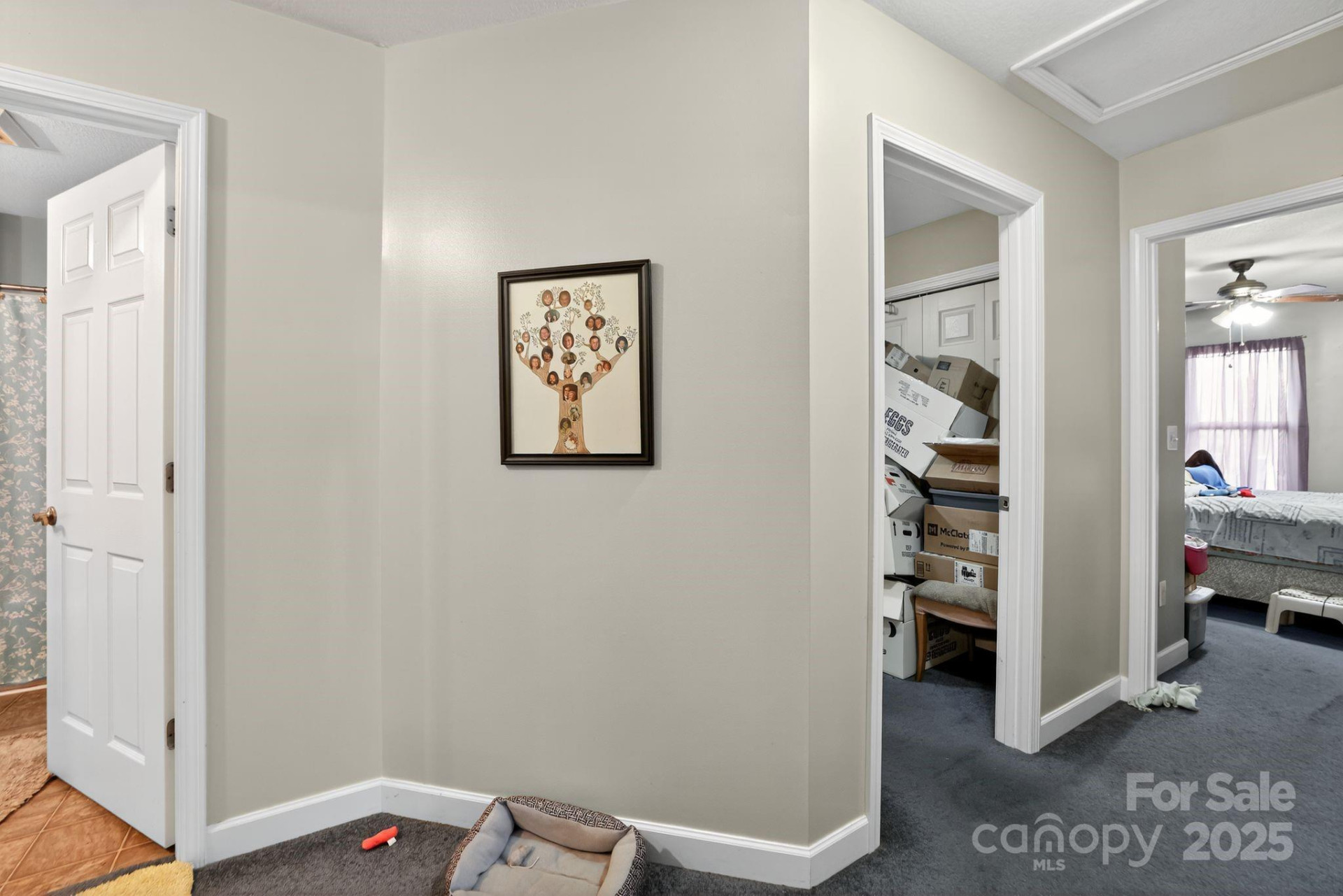 149 Victoria Springs Drive - Photo 19