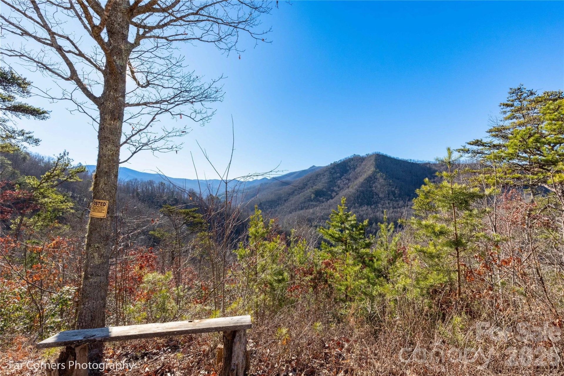 99999 Sourwood Road - Photo 2