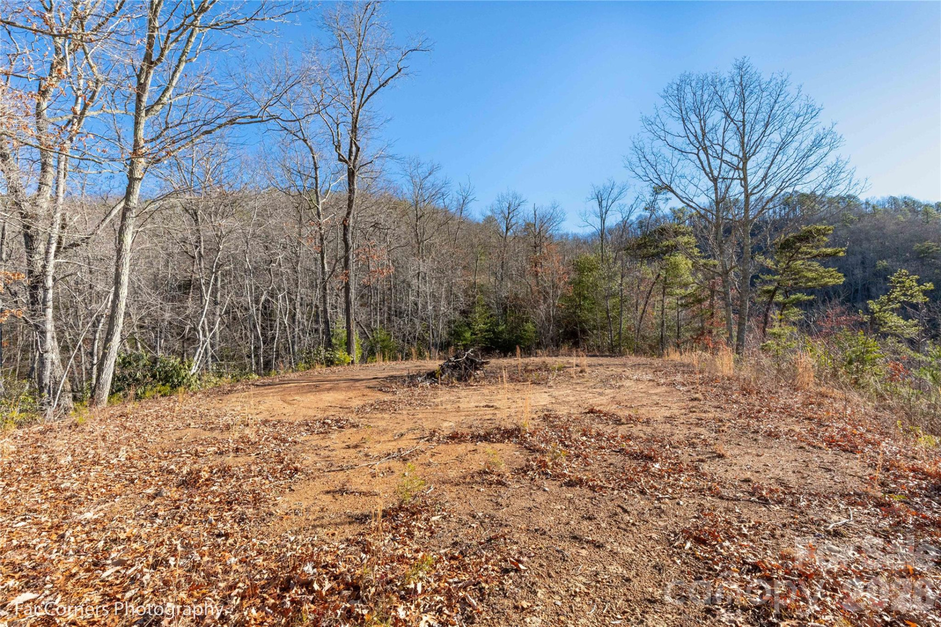 99999 Sourwood Road - Photo 4