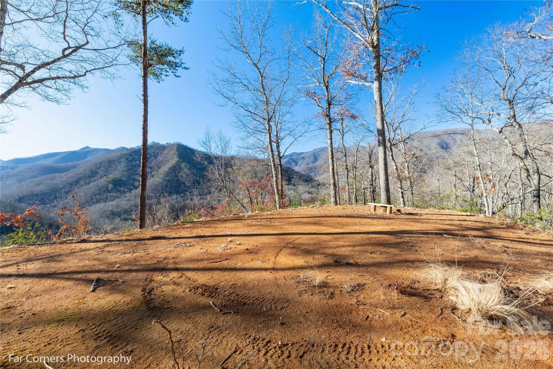 9999 Sourwood Road - Photo 13