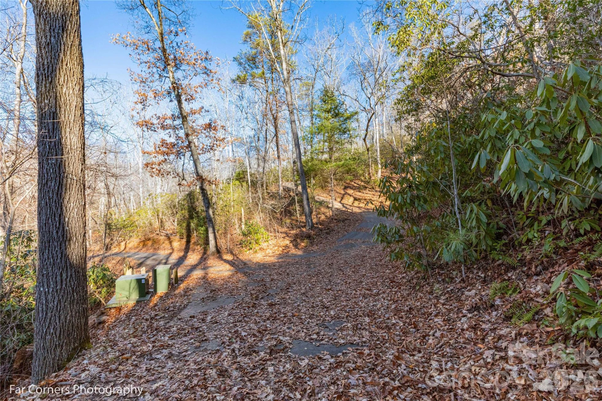 9999 Sourwood Road - Photo 18