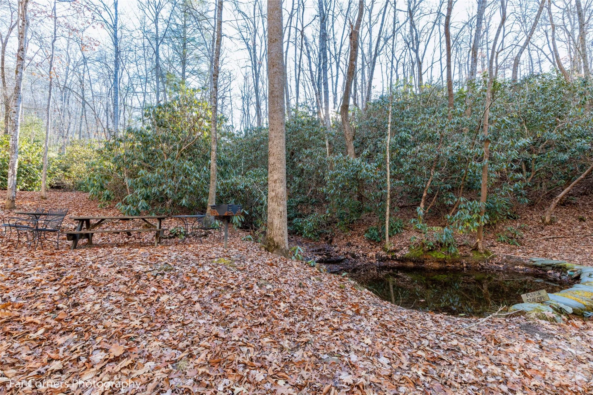 9999 Sourwood Road - Photo 24
