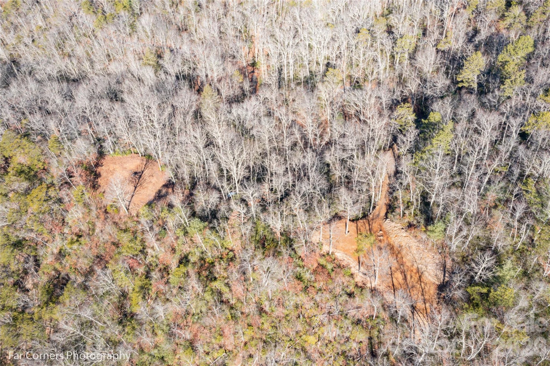9999 Sourwood Road - Photo 28