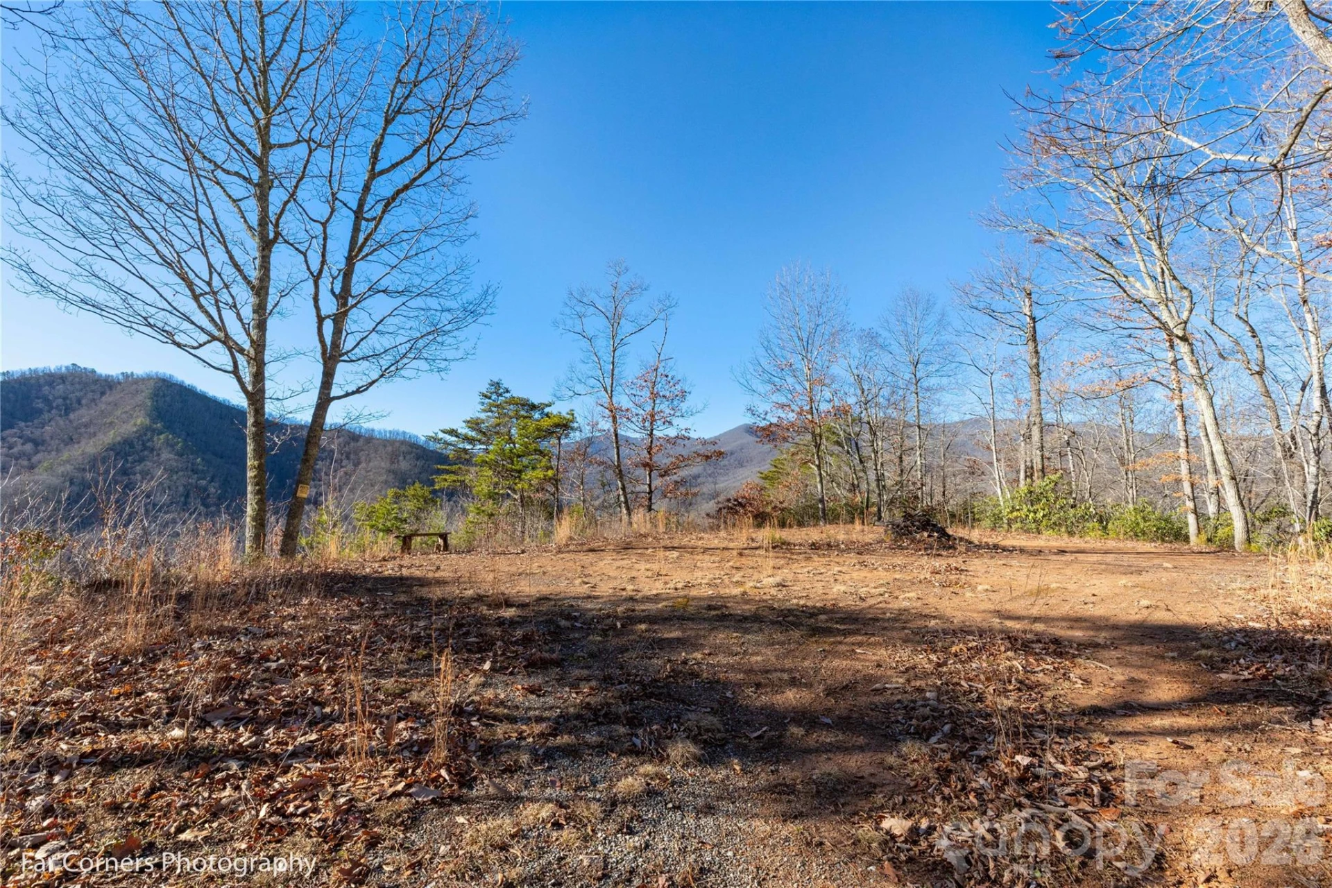 9999 Sourwood Road - Photo 6
