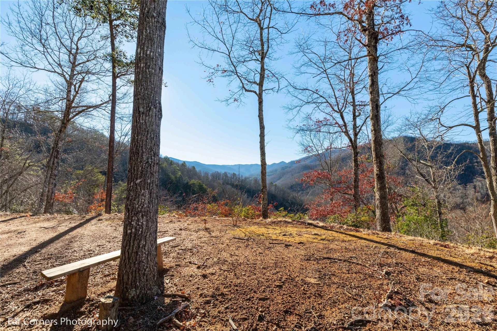 9999 Sourwood Road - Photo 9